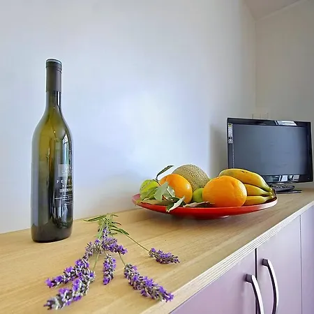 Premium Mobile Homes In Camping Park Umag 4* 布罗托尼贾